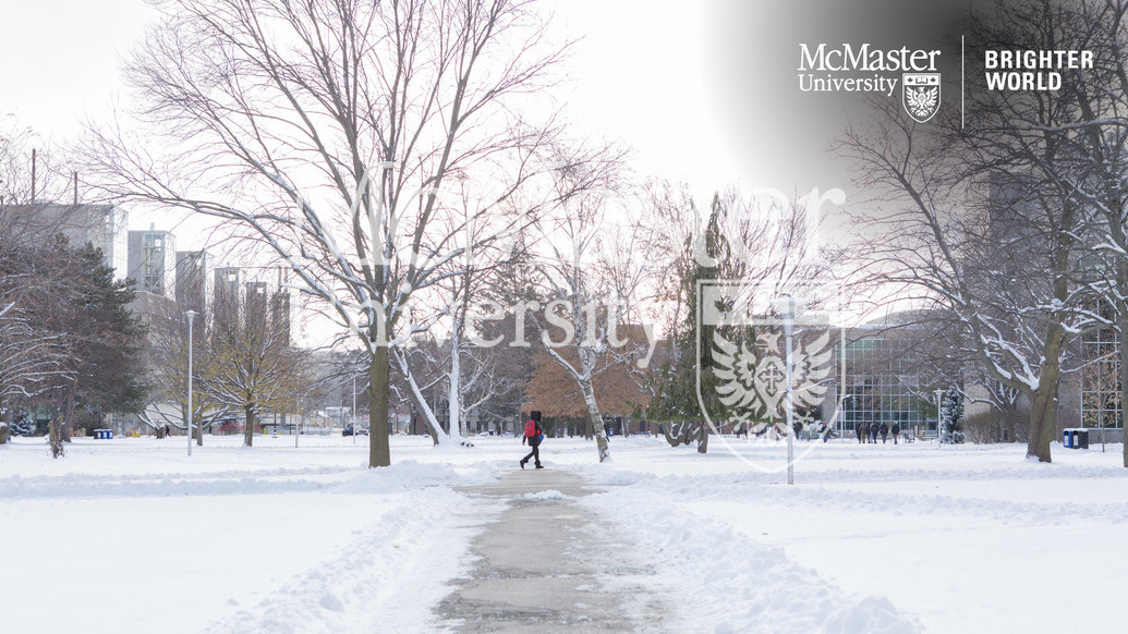 McMaster University Image Details Winter Zoom Background 5